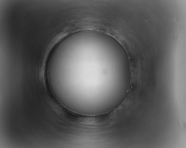 X0000089870104200707121801