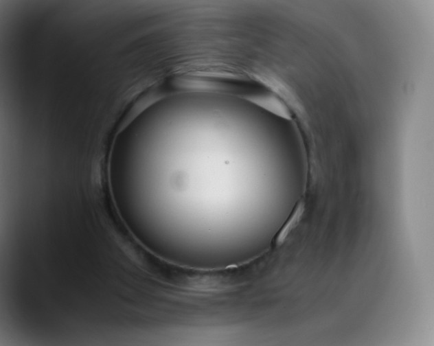 X0000089870105200707121801