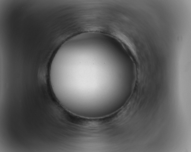 X0000089870107200707121801