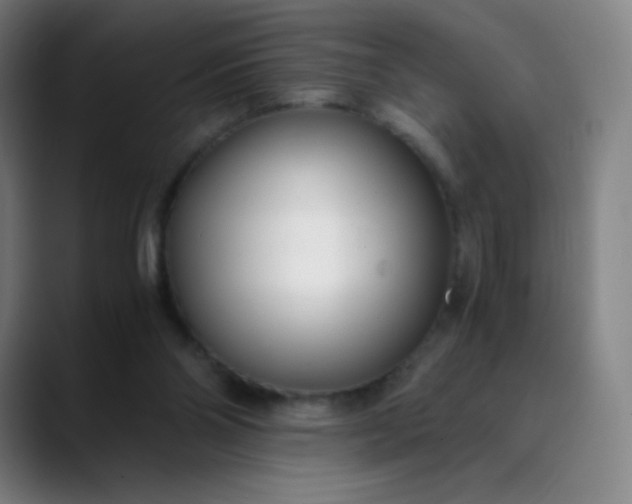 X0000089870110200707121801