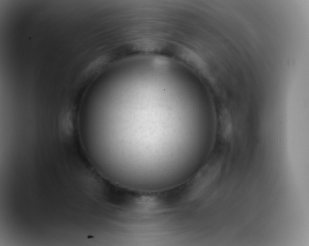 X0000089870114200707121801