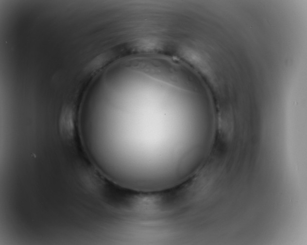 X0000089870115200707121801