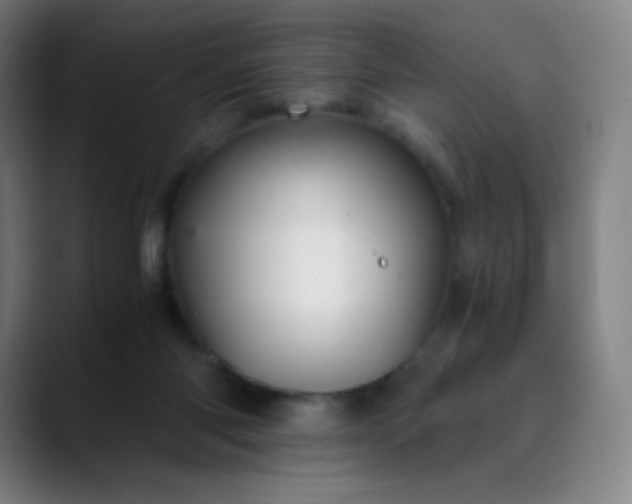 X0000089870118200707121801