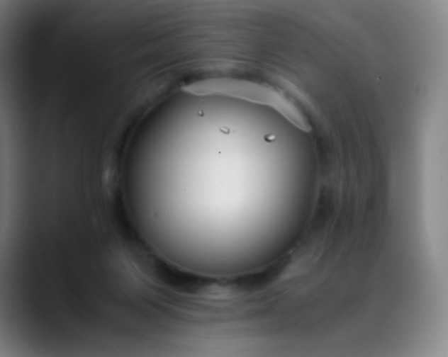 X0000089870119200707121801