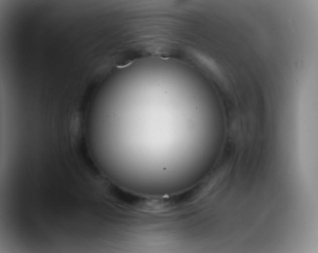 X0000089870121200707121801