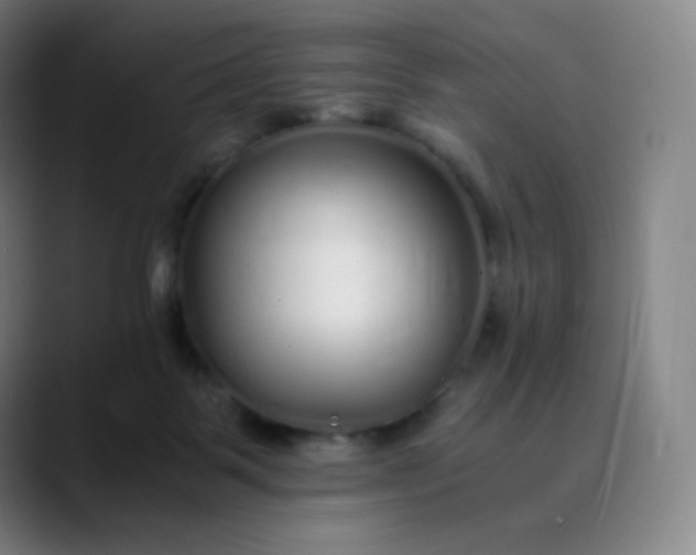 X0000089870123200707121801