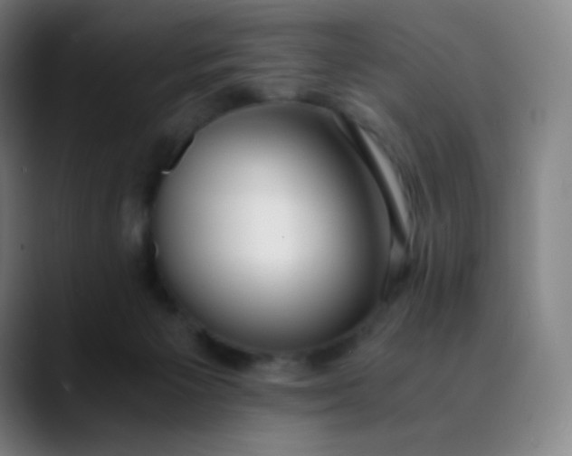 X0000089870125200707121801