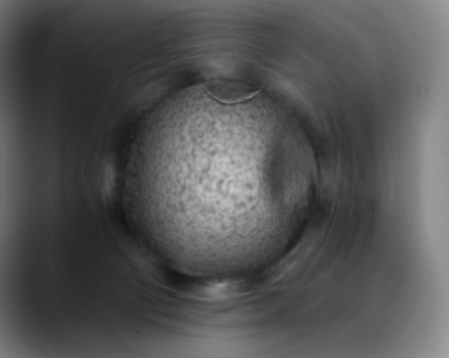 X0000089870130200707121801