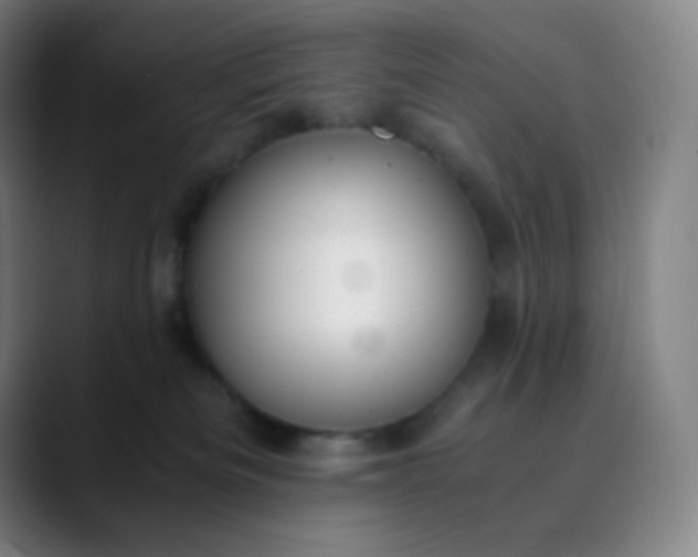 X0000089870133200707121801