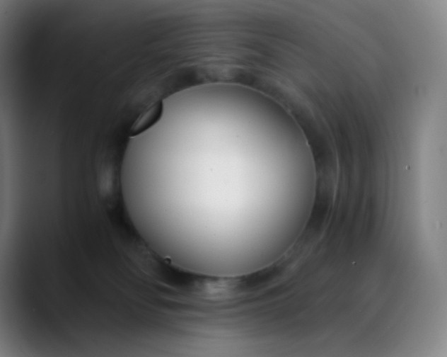 X0000089870134200707121801