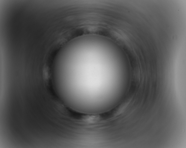 X0000089870135200707121801