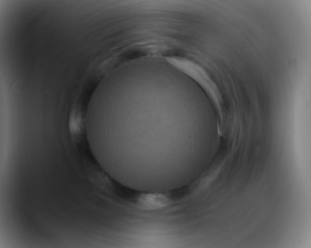 X0000089870137200707121801