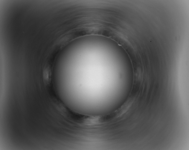 X0000089870138200707121801