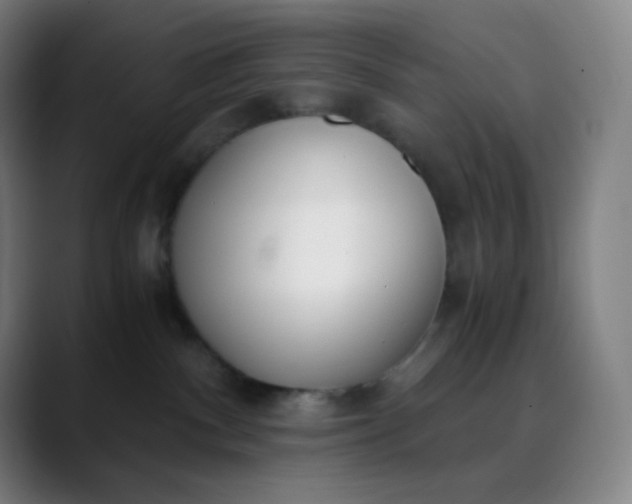 X0000089870140200707121801