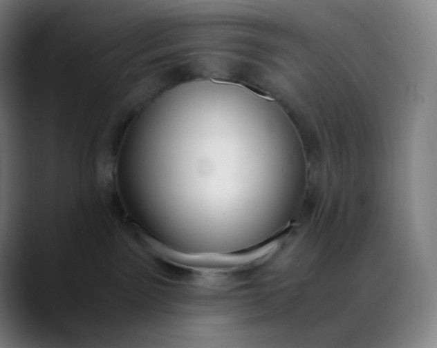 X0000089870141200707121801