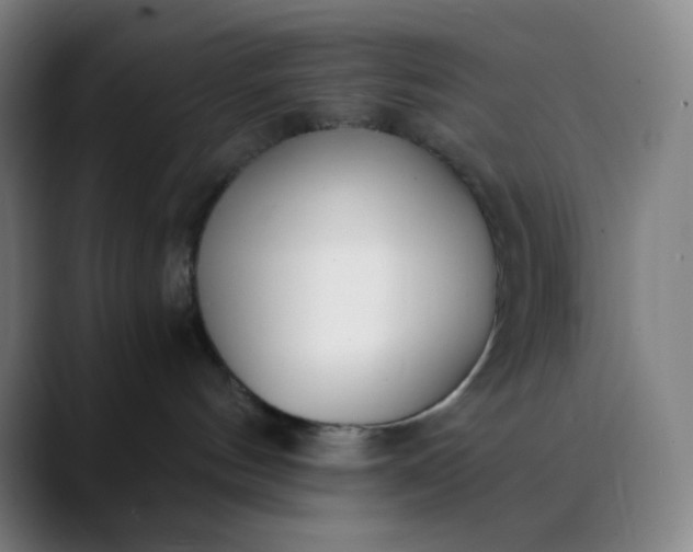 X0000089870144200707121801