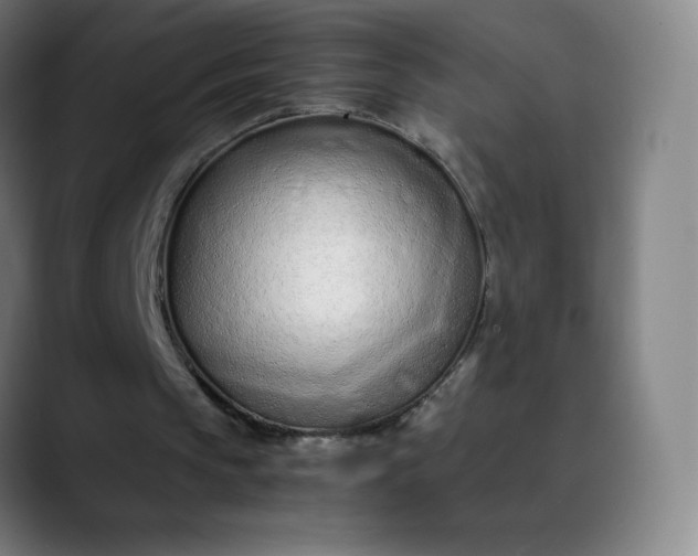 X0000089870145200707121800