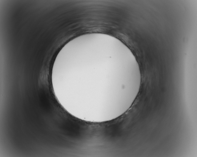 X0000089870146200707121800