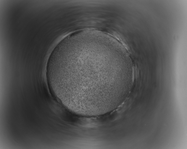 X0000089870147200707121800