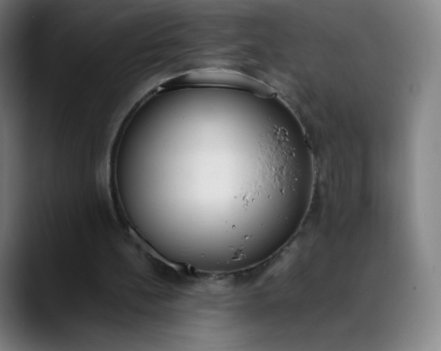 X0000089870148200707121800