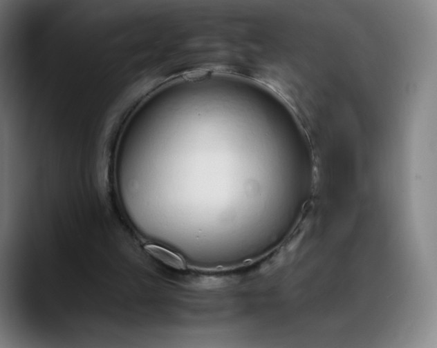 X0000089870149200707121800