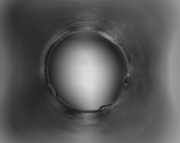 X0000089870150200707121800