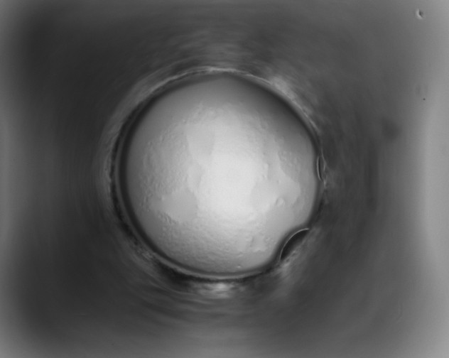 X0000089870151200707121800