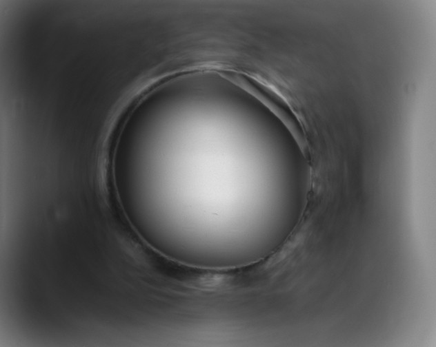 X0000089870152200707121800