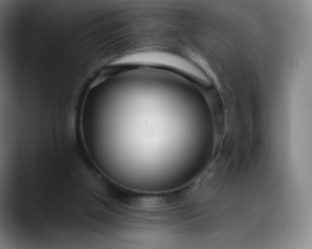 X0000089870154200707121800