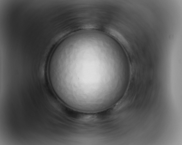 X0000089870155200707121800