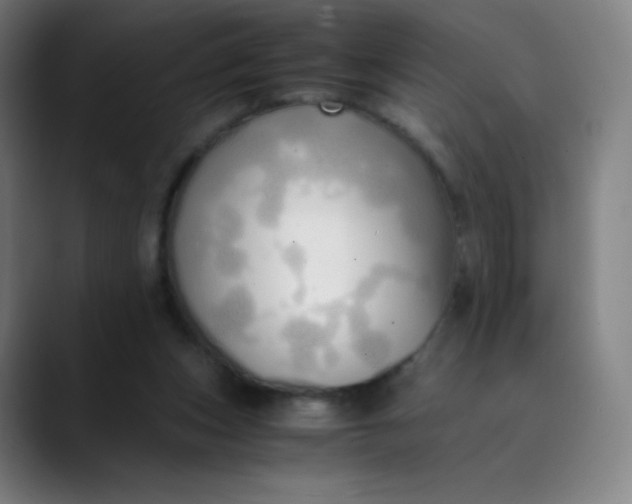 X0000089870159200707121800