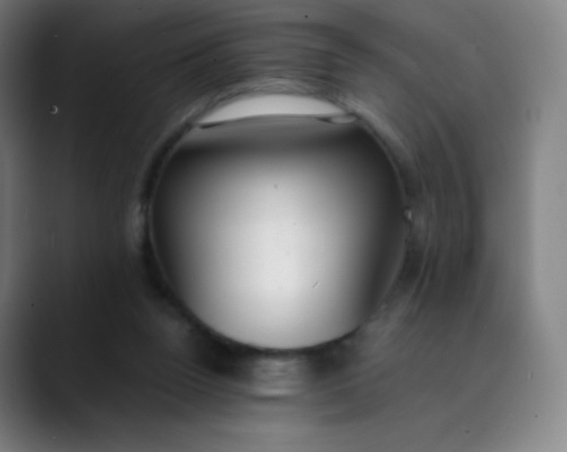 X0000089870160200707121800