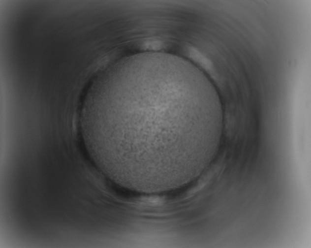 X0000089870161200707121800