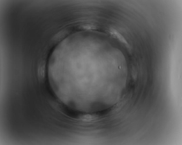 X0000089870163200707121800