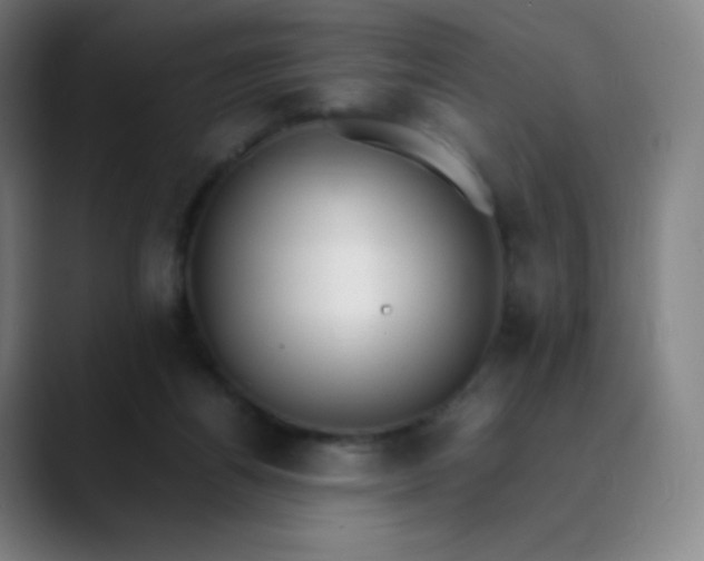 X0000089870164200707121801