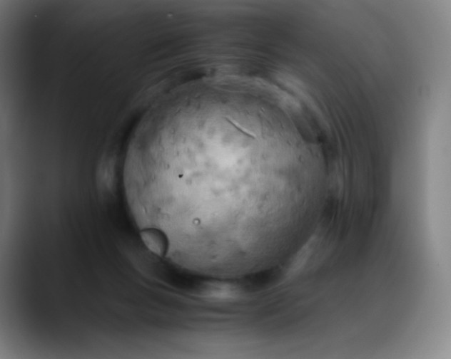 X0000089870167200707121801