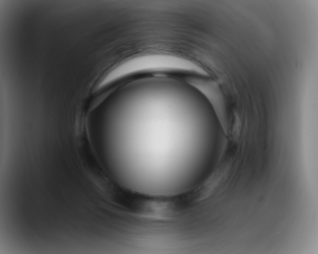 X0000089870168200707121801