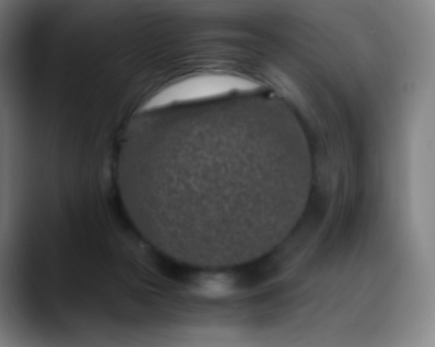 X0000089870169200707121801