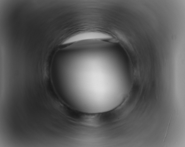 X0000089870170200707121801