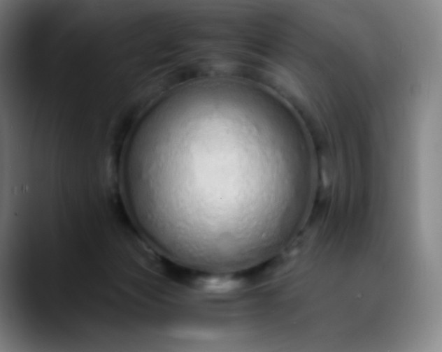 X0000089870173200707121801