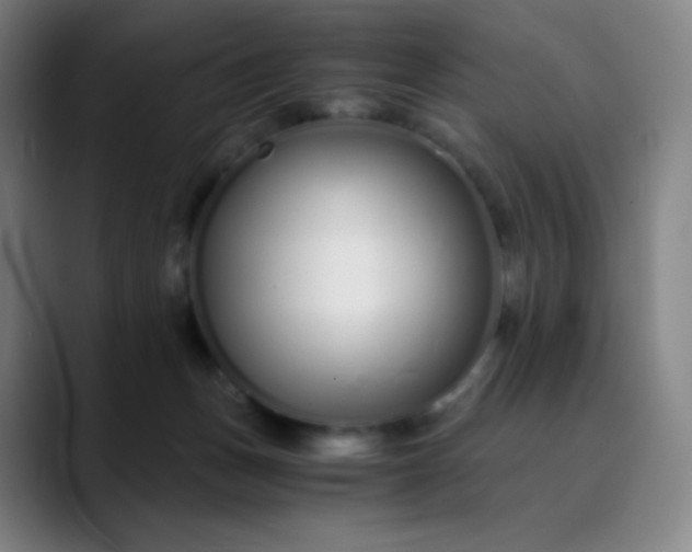 X0000089870175200707121801