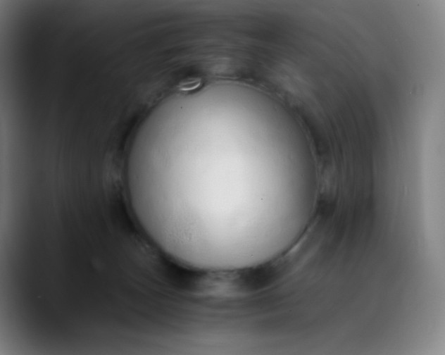 X0000089870179200707121801