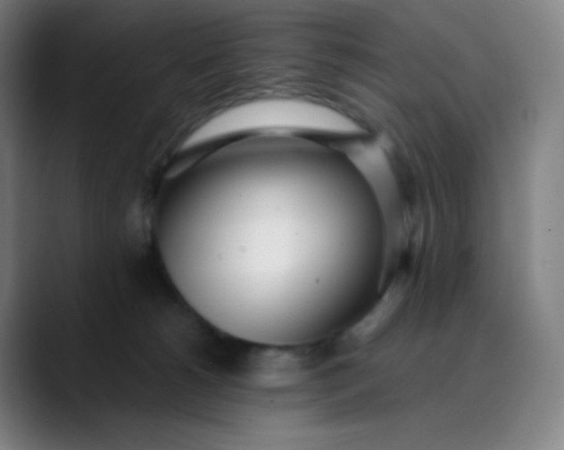 X0000089870180200707121801