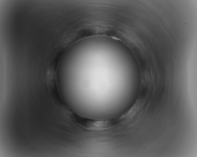 X0000089870184200707121801