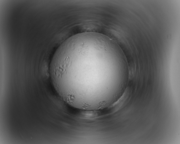 X0000089870187200707121801