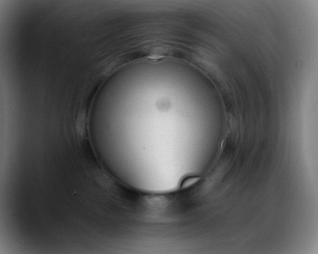 X0000089870189200707121801