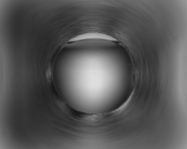 X0000089870190200707121801