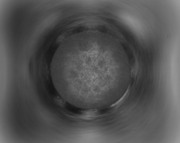 X0000089870191200707121801