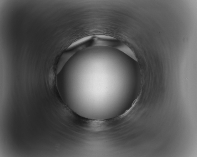 X0000089870192200707121801