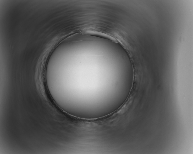 X0000089870193200707121800